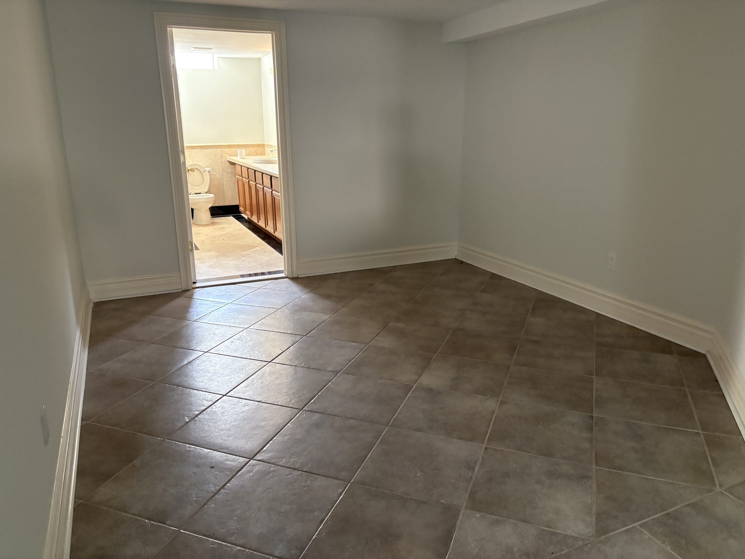 Basement junk removal