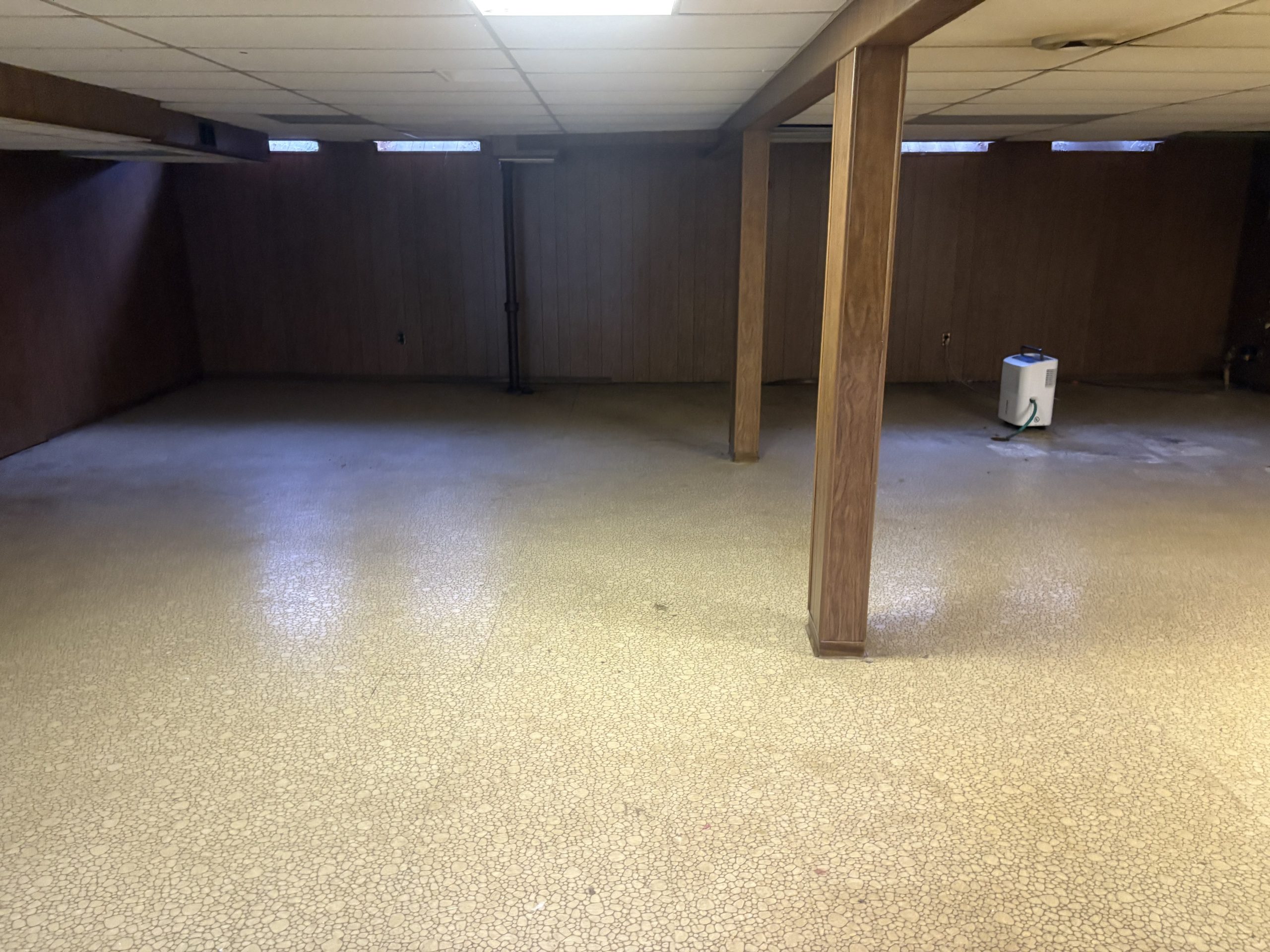 cleaned out basement